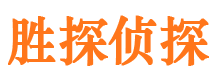 马村市私人侦探